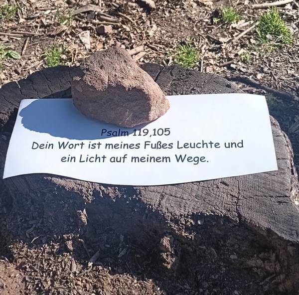 Dein Wort ist meines Fußes Leuchte – aus Psalm 119 liegt hier am Wegesrand hübsch drapiert auf einem Stein